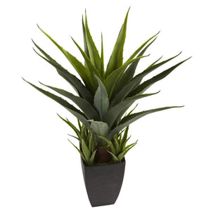 Agave w/Black Planter - zzhomelifestyle