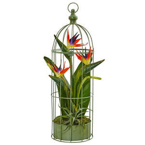 Birds of Paradise in Bird Cage - zzhomelifestyle