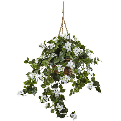 Bougainvillea Hanging Basket - zzhomelifestyle