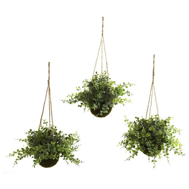 Eucalyptus, Maiden Hair & Berry Hanging Basket (Set of 3) - zzhomelifestyle