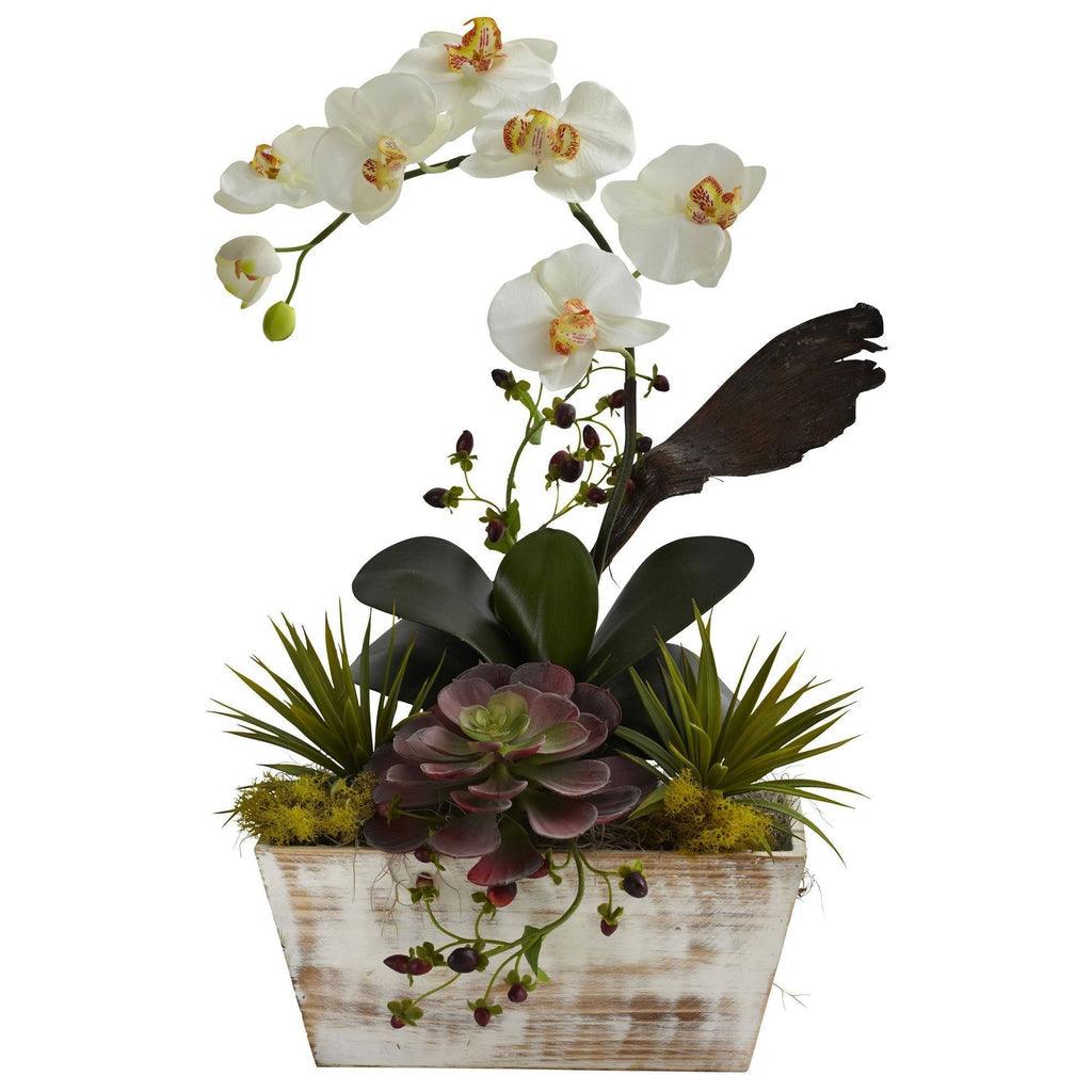 Orchid & Succulent Garden w/White Wash Planter - zzhomelifestyle