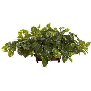 Pothos w/Rectangle Decorative Planter - zzhomelifestyle