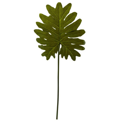 Selloum Philo Single Leaf Stem (Set of 12) - zzhomelifestyle