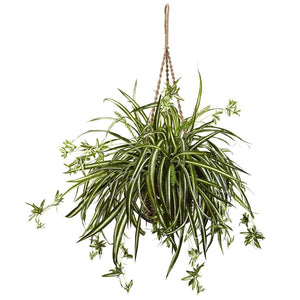 Spider Plant Hanging Basket - zzhomelifestyle